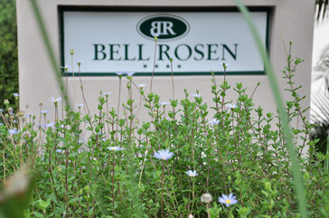 Bell Rosen